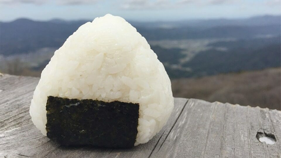 【海の京都エール便】丹後の豊かな食を支える米