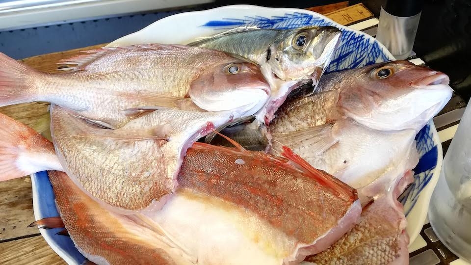 【体験】漁港で魚を選ぶところからはじめる干し物作り体験！